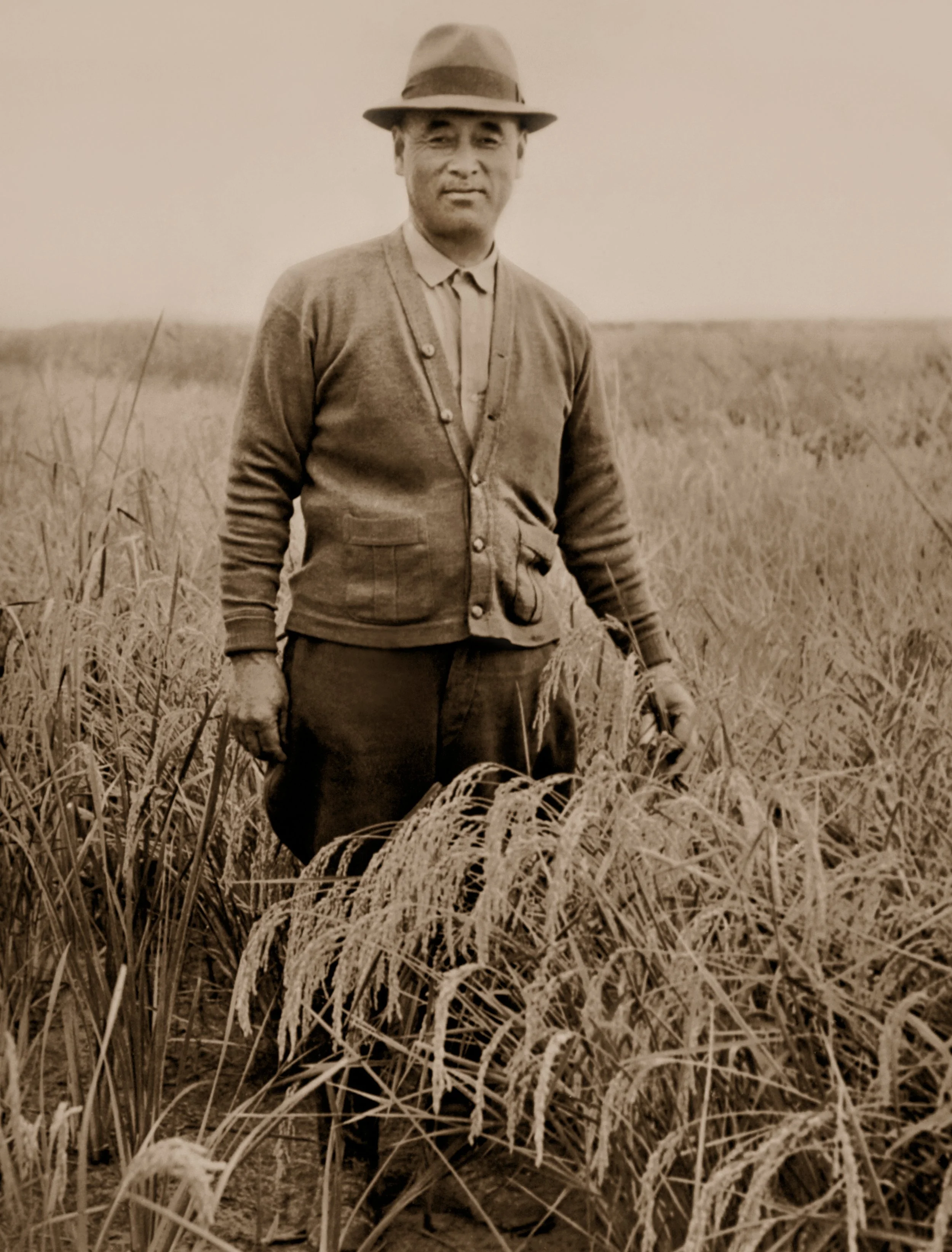 Earth: Notes on Sake — Rice, Water, Earth: Notes on Sake blog